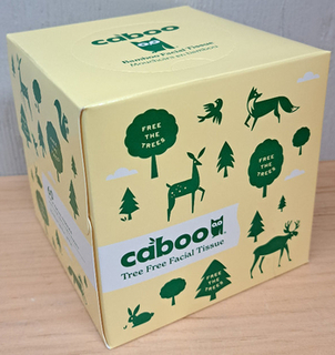 Facial Tissue Cube Box - 60 three-ply (Caboo)